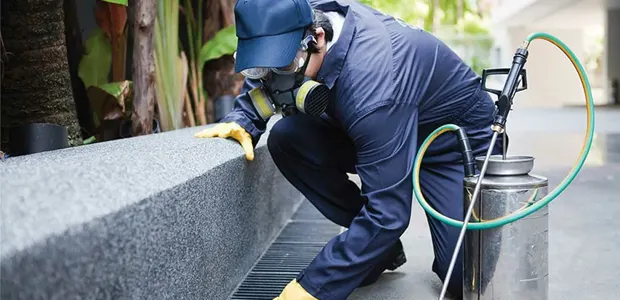 Técnico aplicando dedetização profissional contra baratas e insetos – Dedetizadora Nova ABC em São Paulo e ABC